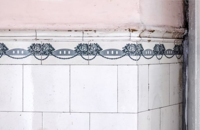 Кахлі будинок вчених