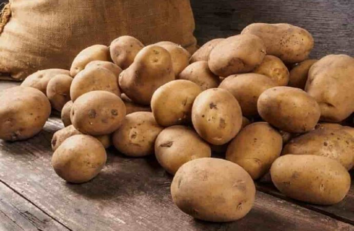 Готовимся к зиме: как правильно хранить картошку в квартире