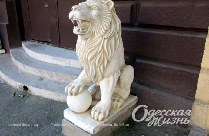 Белые львы в Одессе на Пастера-2