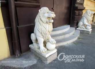 Два білі леви оселилися в Одесі на Пастера (фотофакт)