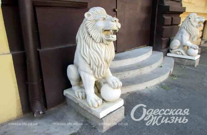 Два белых льва поселились в Одессе на Пастера (фотофакт)