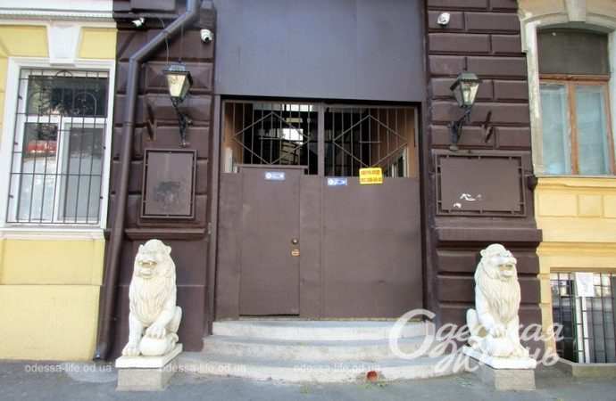 Белые львы в Одессе на Пастера-6