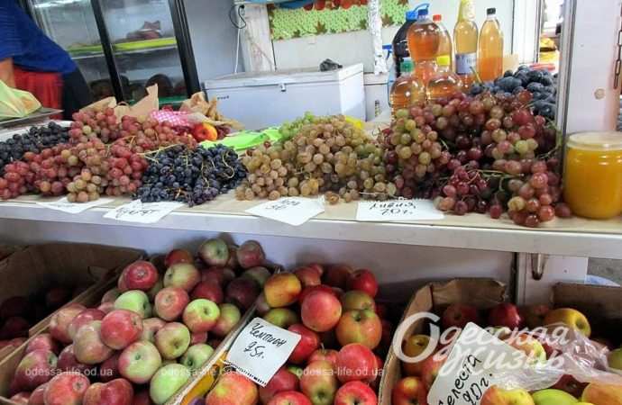 Новый базар. Котова. 21.09.23