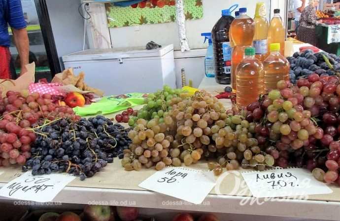 Новый базар. Котова. 21.09.23