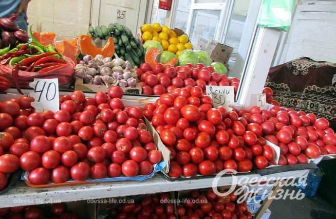 Новый базар. Котова. 21.09.23