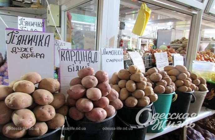 Новый базар. Котова. 21.09.23