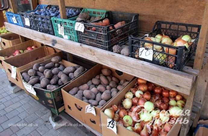 Новый базар. Котова. 21.09.23