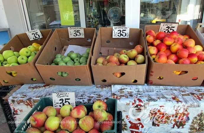 Новый базар. Котова. 21.09.23