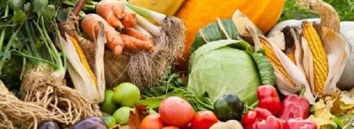 Сезонные овощи и фрукты: чем полакомиться осенью