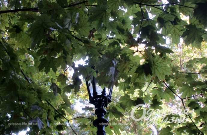 В Пале-Рояле, Одесса, фонарь