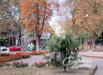 Вересень-2023 в Одесі став рекордно теплим за 130 років