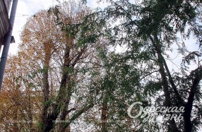 Погода в Одессе, конец сентября 2023