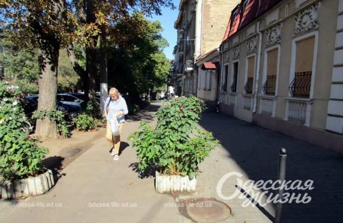 Сентябрь по-одесски Котова