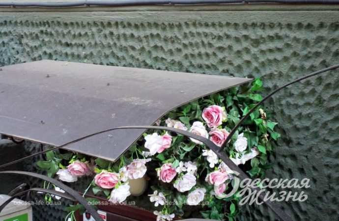 Сентябрь по-одесски Котова