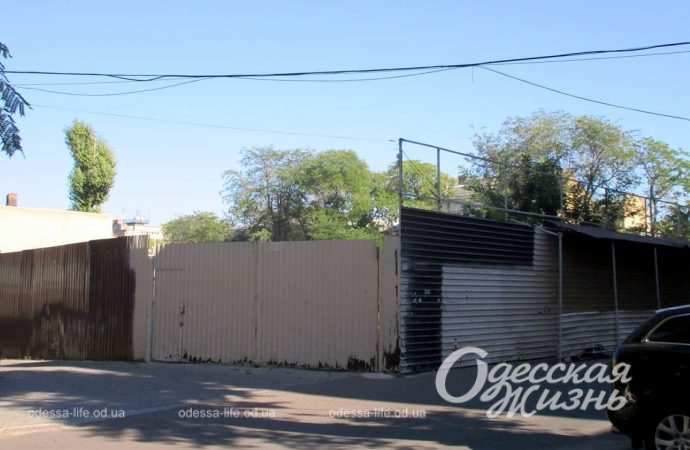 Сентябрь по-одесски Котова