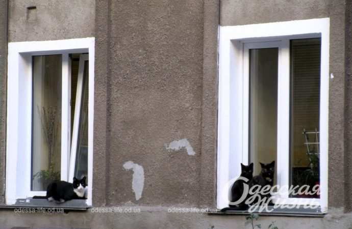 Сентябрь по-одесски Котова