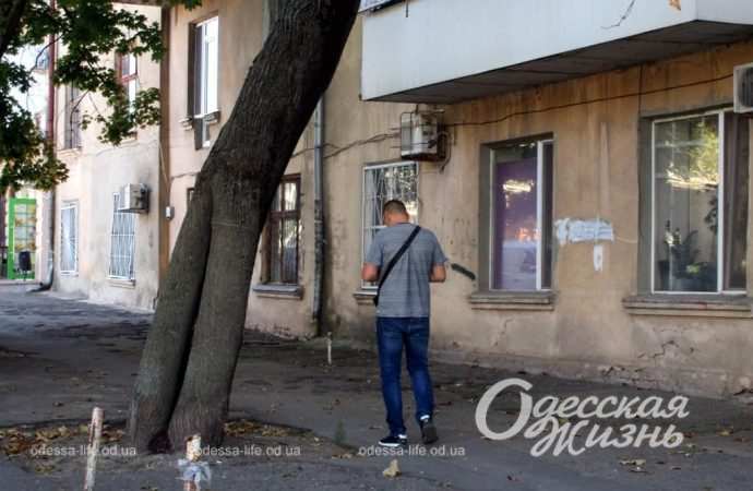 Сентябрь по-одесски Котова