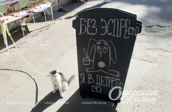 Сентябрь по-одесски Котова