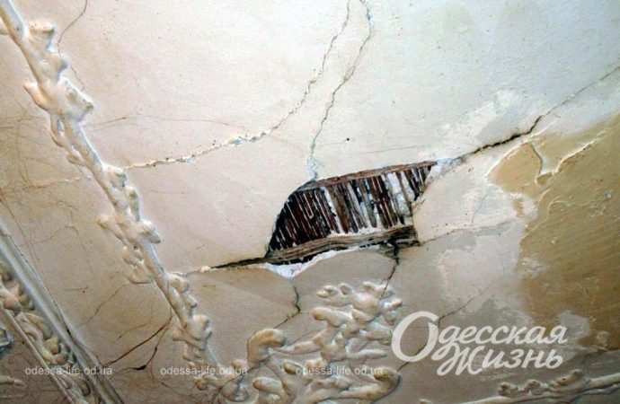 Нина Черняк, жительница Дома на Ляпуновых, 12