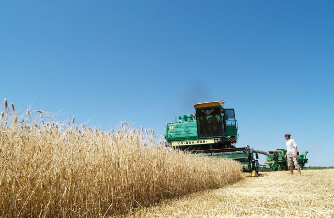 На севере Одесщины собрали лучший урожай зерновых культур