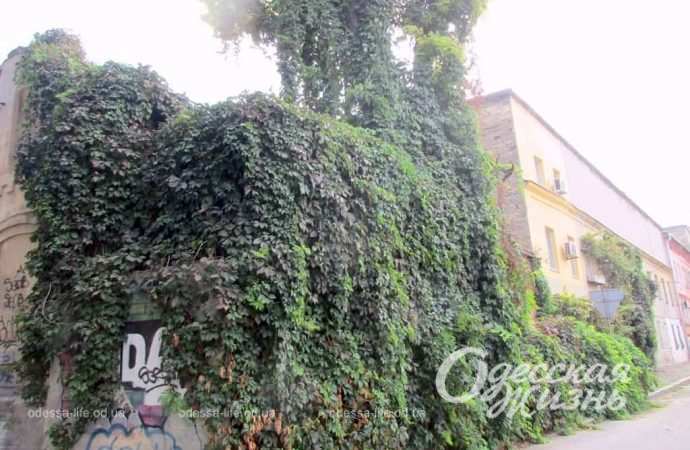 Переулок Ушинского. Котова