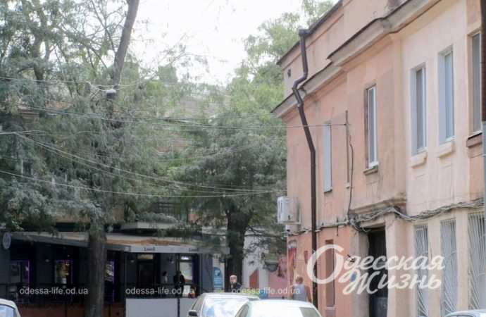 Переулок Ушинского. Котова