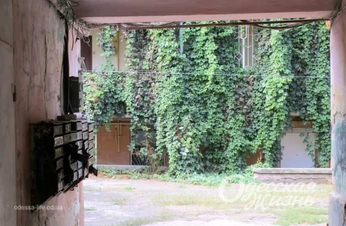 Переулок Ушинского. Котова