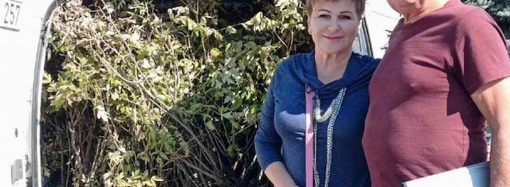 В память о погибшем защитнике в Одесской области высадят сотню саженцев пионов (фото)