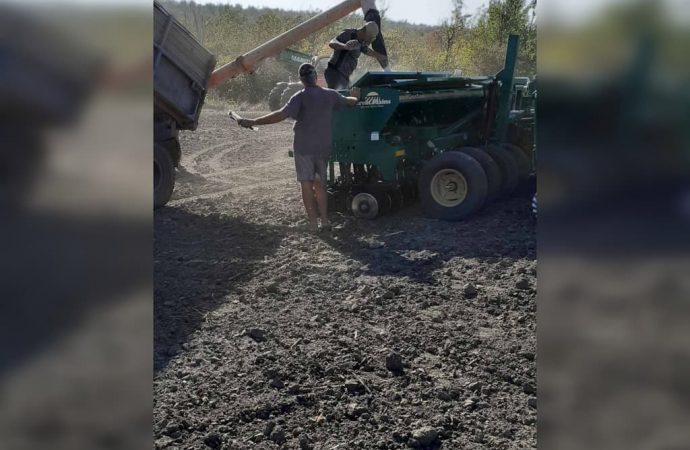 посевная. подготовка озимой пшеницы