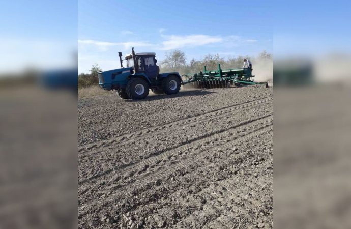 Часу обмаль: хто ризикнув сіяти озимі в суху землю