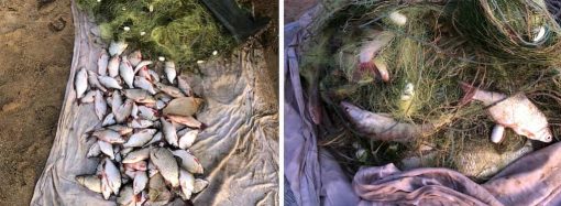 На Одещині браконьєр ловив рибу 150-метровою сіткою