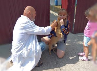 На Одещині вакцинують тварин від сказу: де щепити домашнього улюбленця безплатно