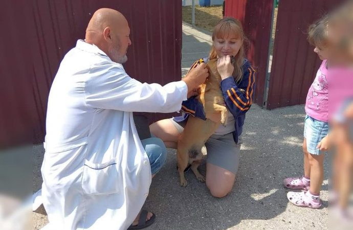 В Одесской области вакцинируют животных от бешенства: где привить домашнего любимца бесплатно