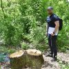 Нацпарку на Одещині завдали колосальних збитків: знищили понад пів тисячі дерев (фото)