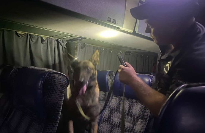 На Одещині через собаку злочинці втратили двоповерховий автобус