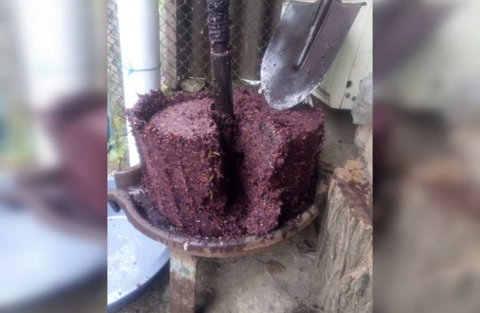 Джубри для винограду