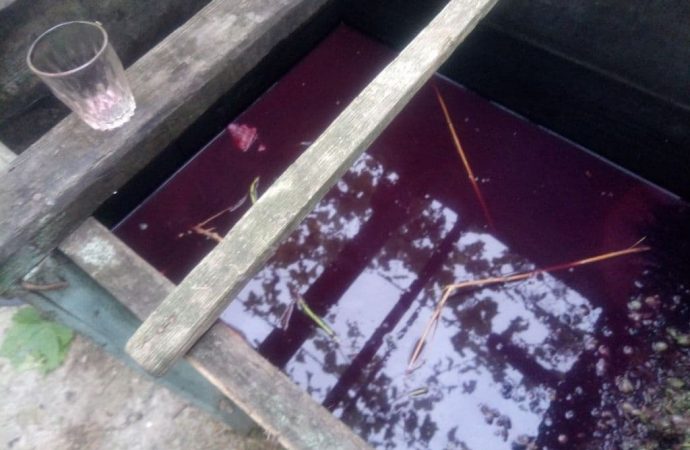 Ємність (шарпана) для винограду