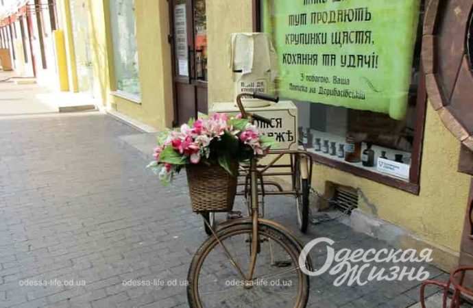 Погода в Одессе 24 октября: порадует ли вторник теплом и солнцем