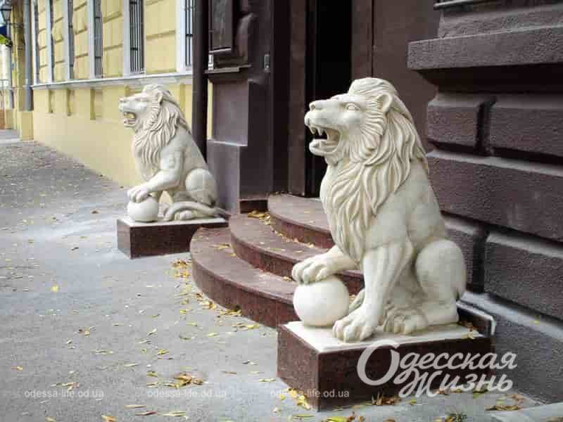 Фото дня в Одессе, львы на улице Пастера