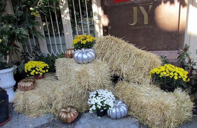 Хэллоуин. Котова