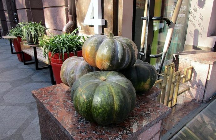 Хэллоуин. Котова