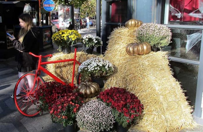 Хэллоуин. Котова