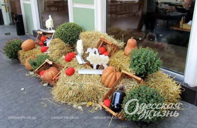 Хэллоуин. Котова