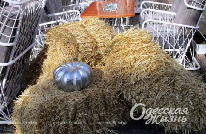 Хэллоуин. Котова