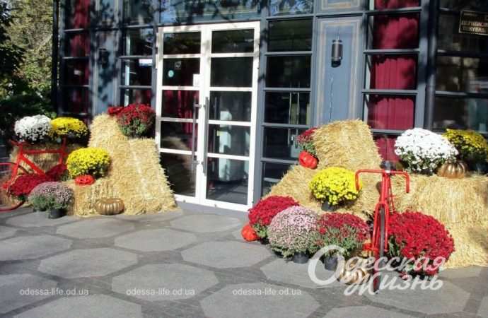 Хэллоуин. Котова