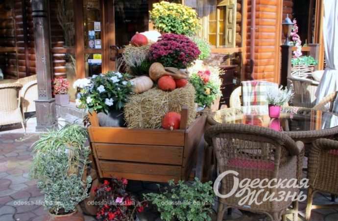 Хэллоуин. Котова