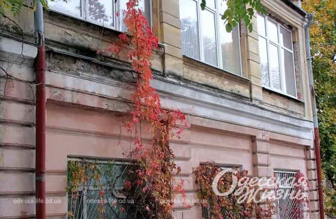 осень. Котова