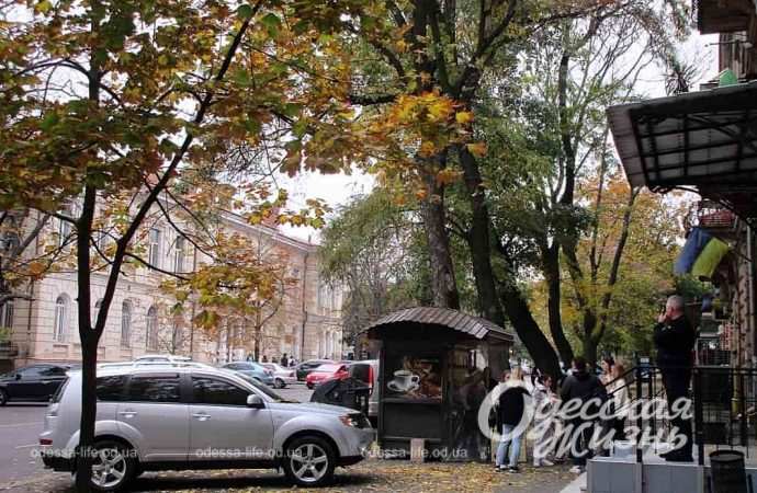 осень. Котова