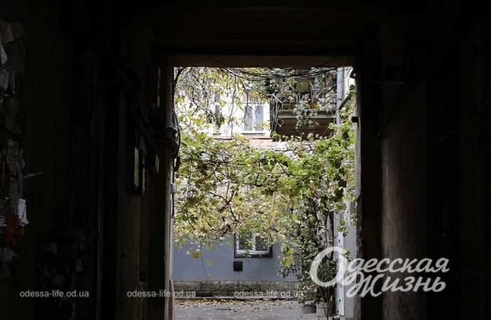 осень. Котова