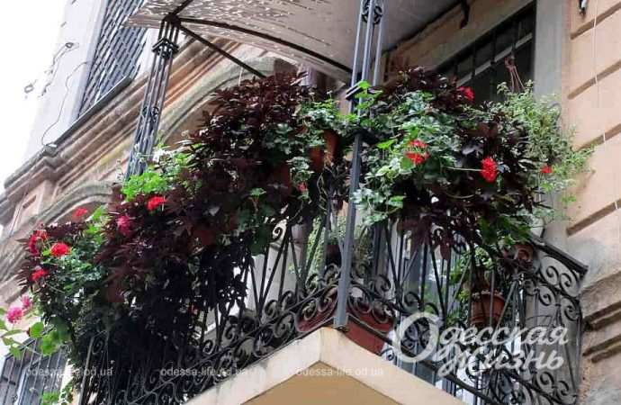 осень. Котова